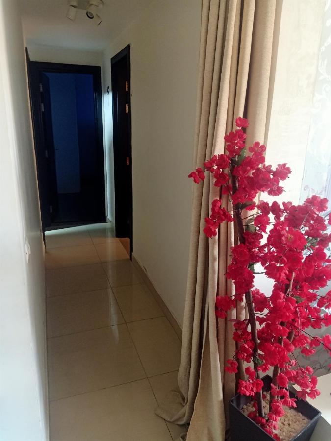 Fully Furnished Apartment At Ocean Blue Compound Kairo Eksteriør billede